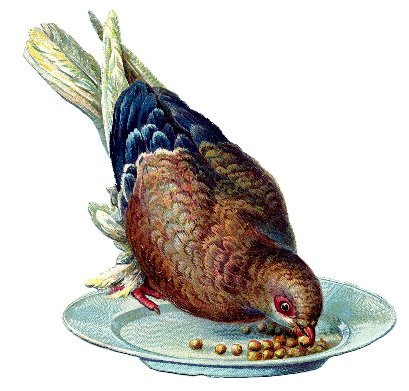 Vintage Bird Clipart 
