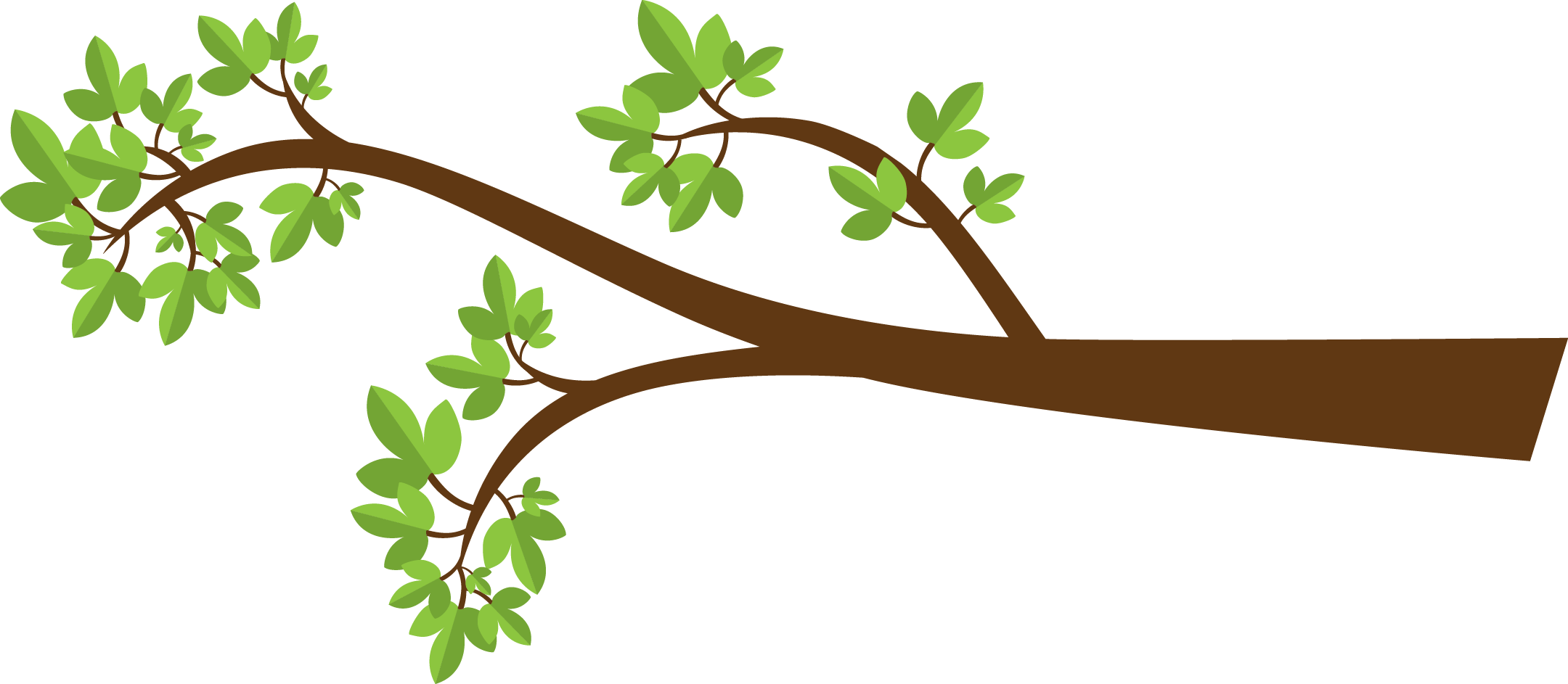 transparent tree branch clipart - Clip Art Library