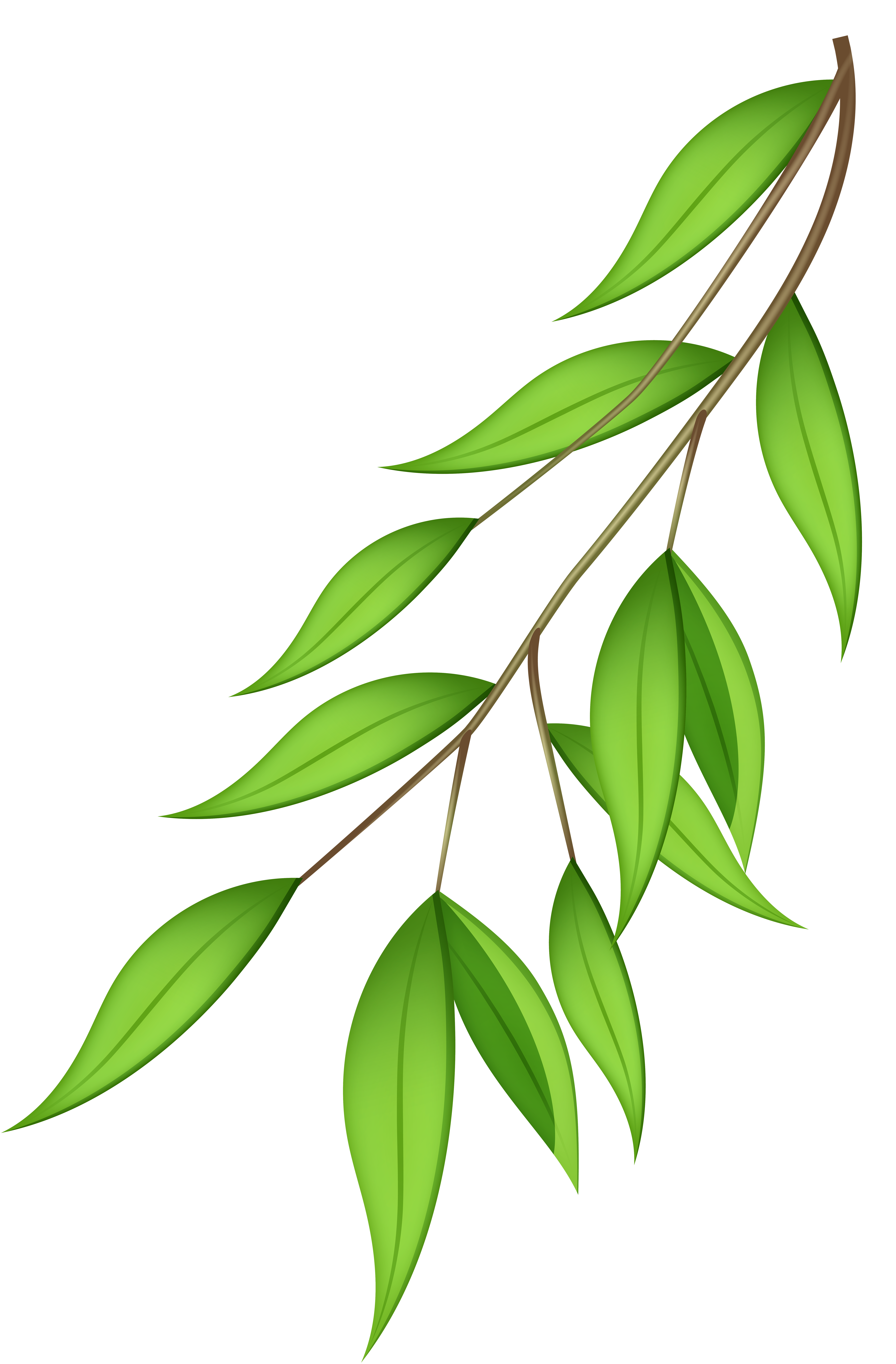 Green Branch PNG Transparent Clip Art Image 
