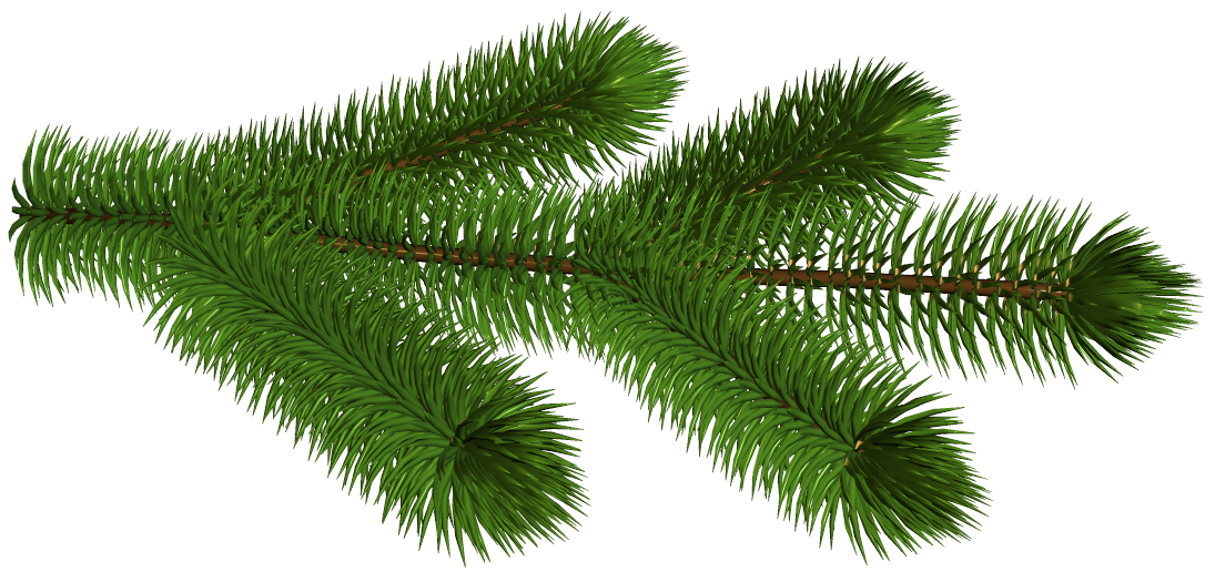 Transparent Pine Branch 3D Clipart Picture 