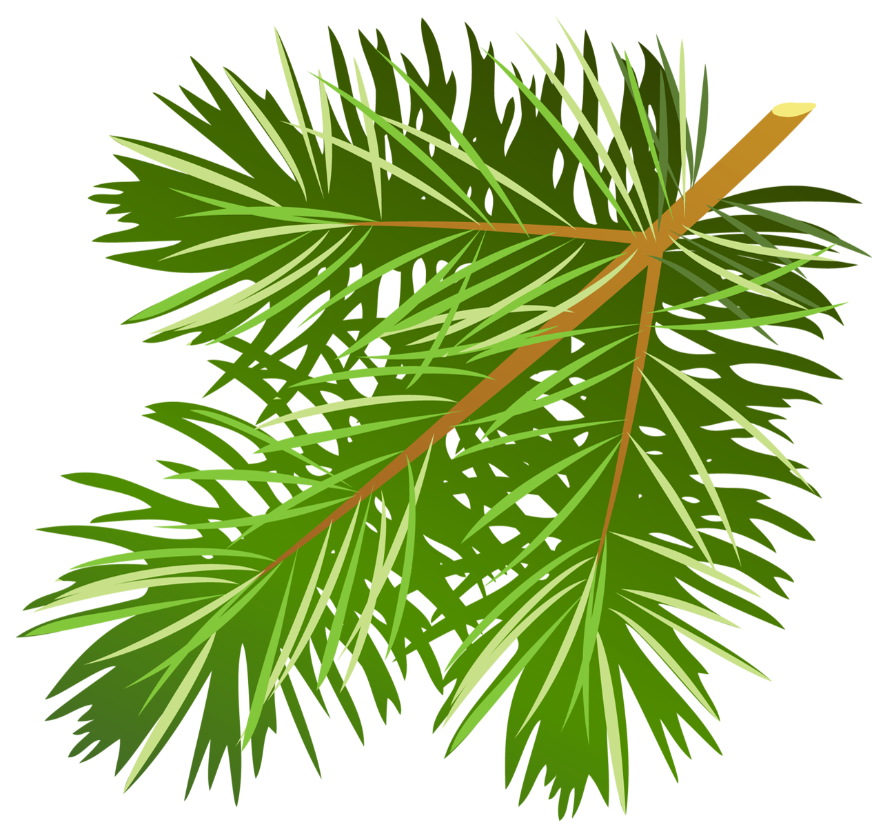 Transparent Pine Branch PNG Clipart 