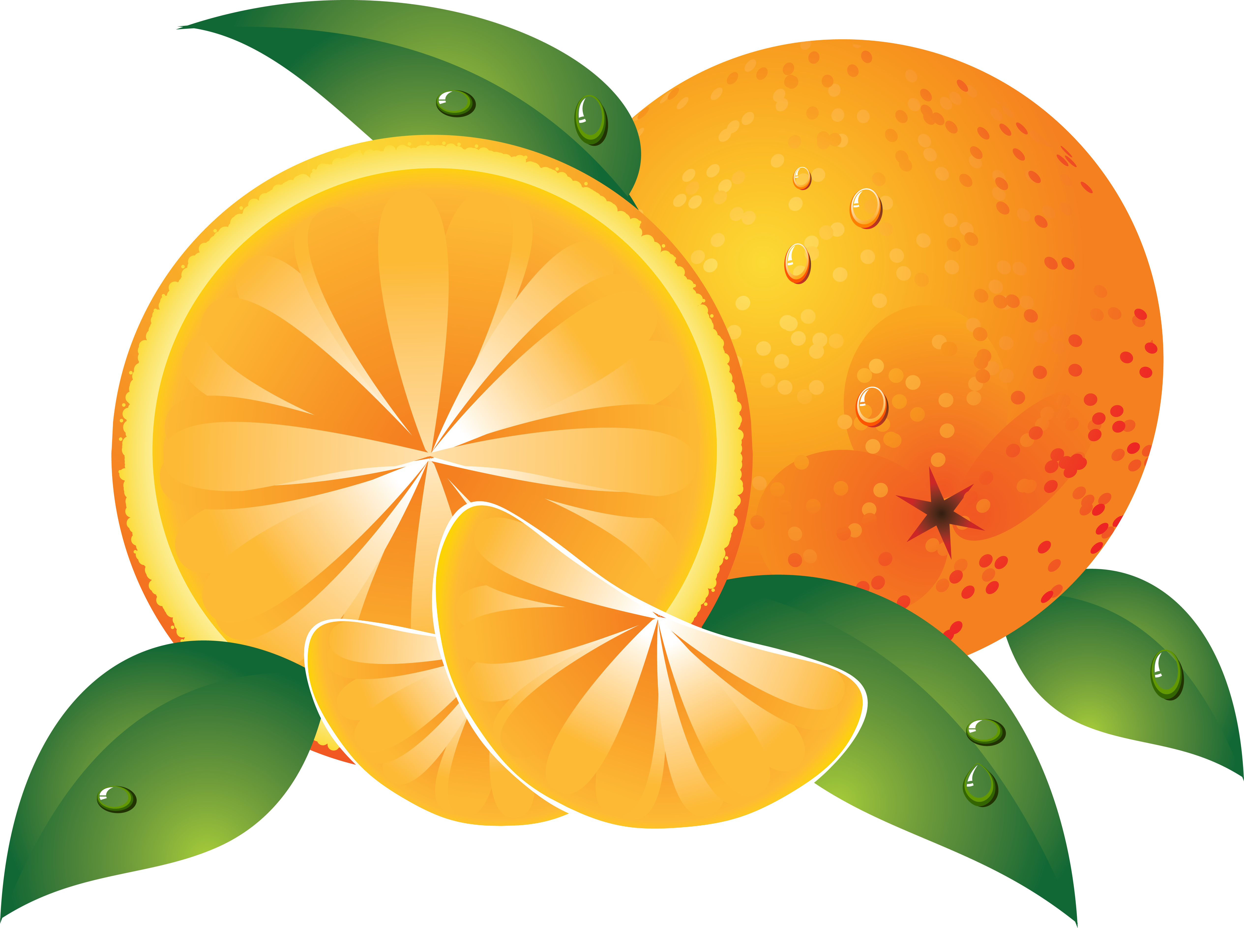 Free Free Orange Cliparts, Download Free Free Orange Cliparts png