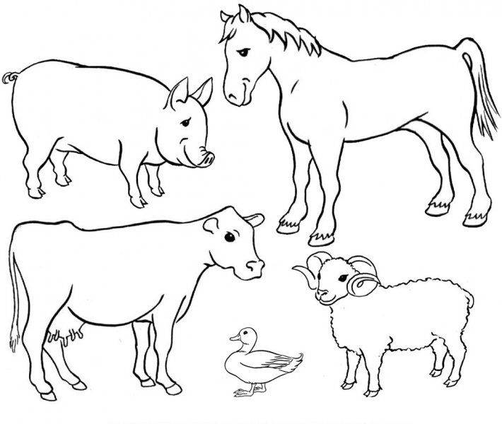 Farm Animals Clip Art Black And White Clip Art Library