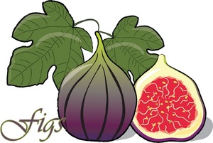 Figs Clipart Image 