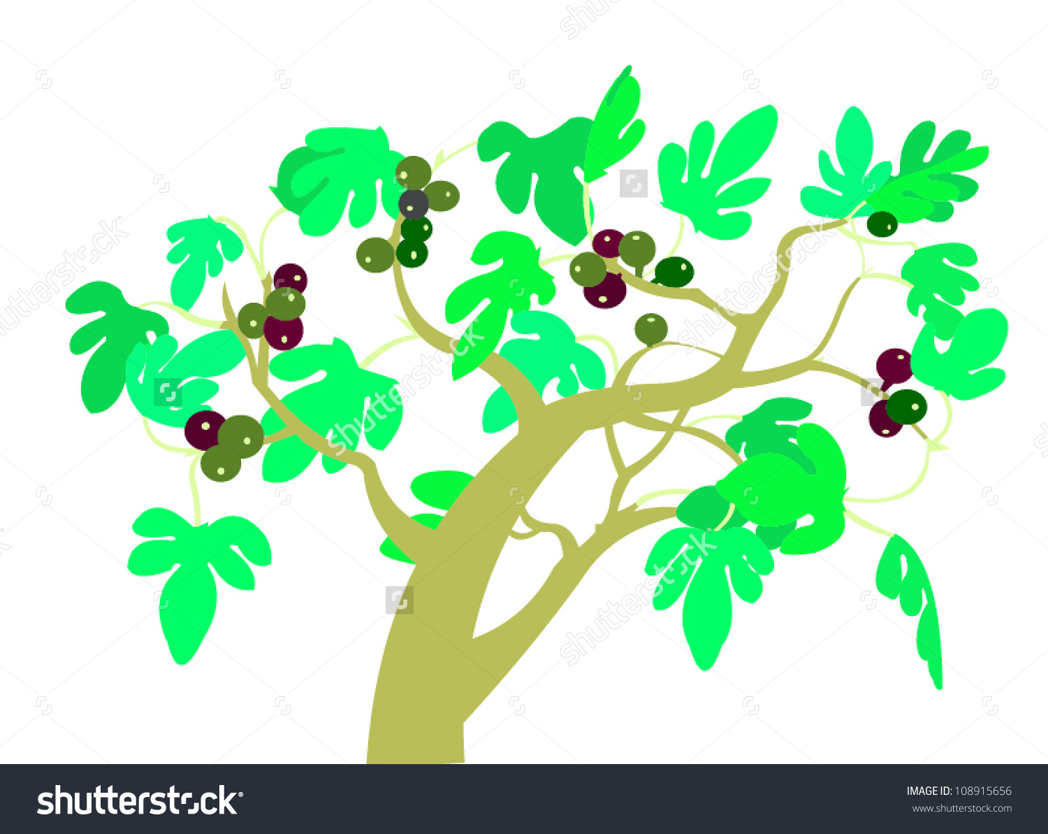 Fig tree image clip art 