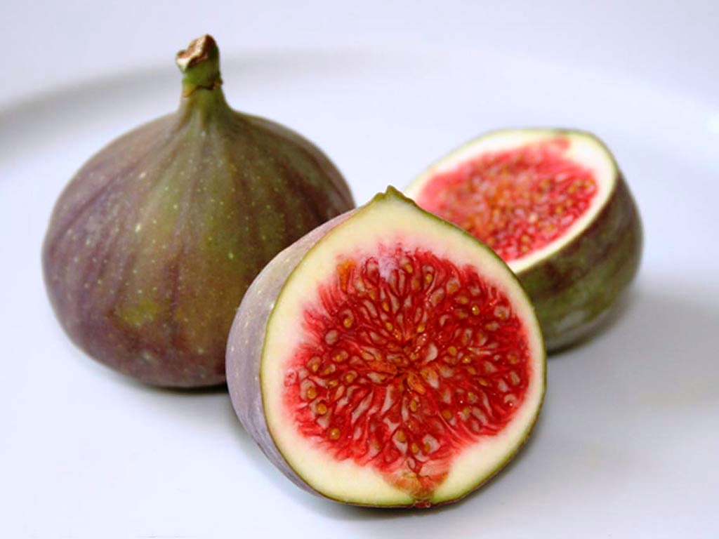 Fig fruit clipart 