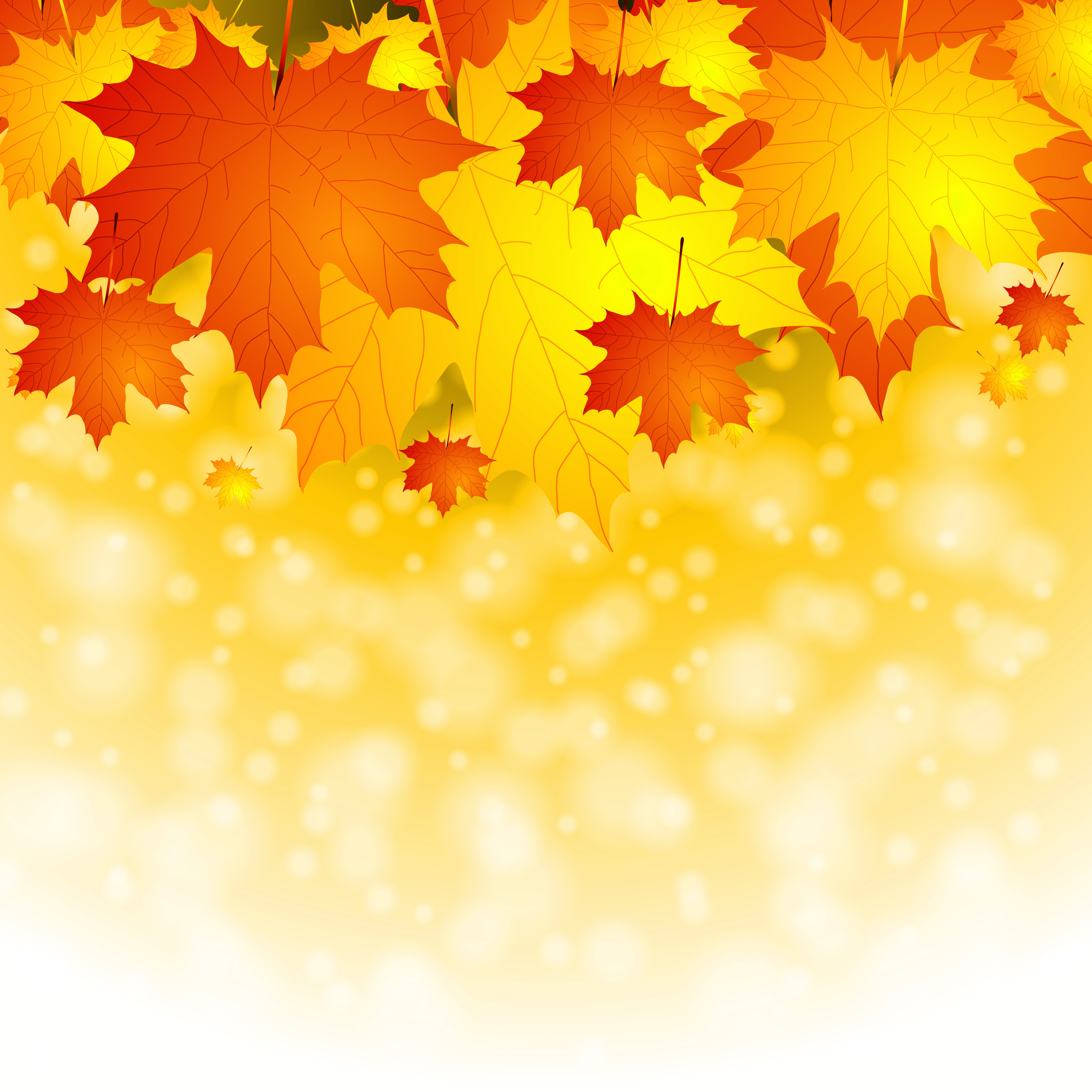 Fall Leaf Backgrounds Group 