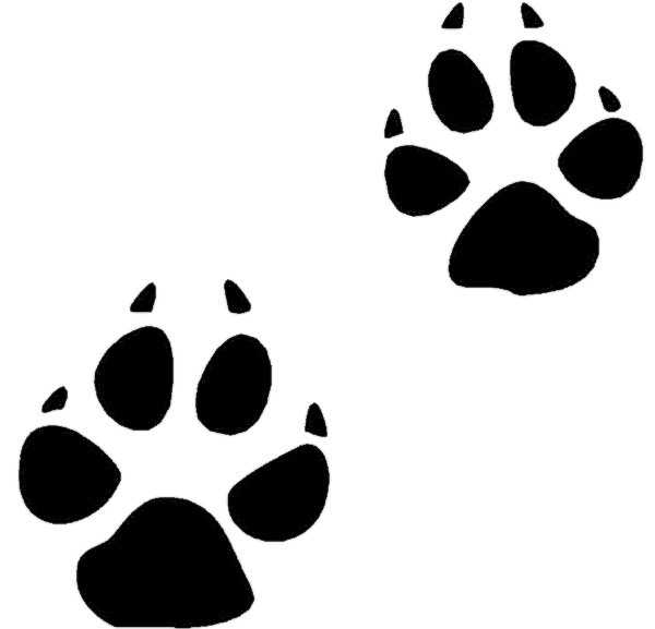 White dog footprints clipart png 