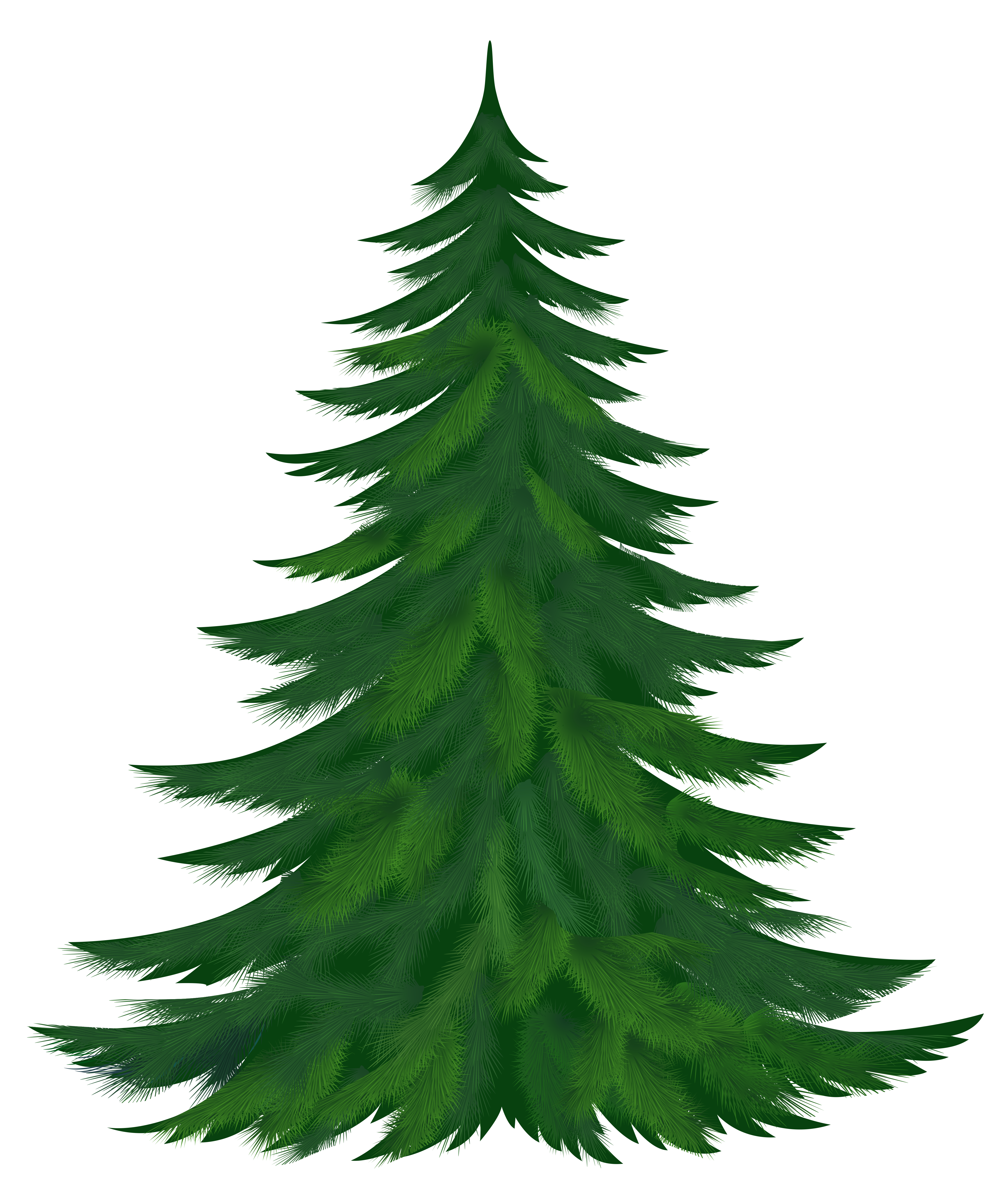 Pine tree clip art free 