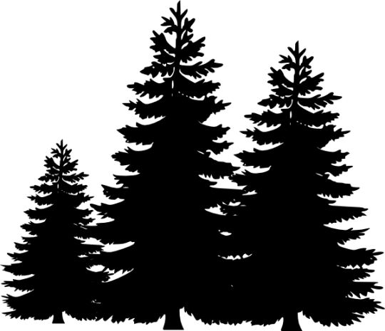 Silhouette of pine trees clipart 