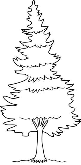 Free Pine Trees Cliparts, Download Free Pine Trees Cliparts png images