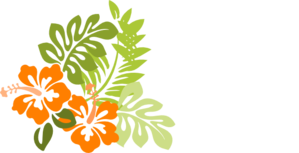 Orange Hibiscus Clip Art at Clker 