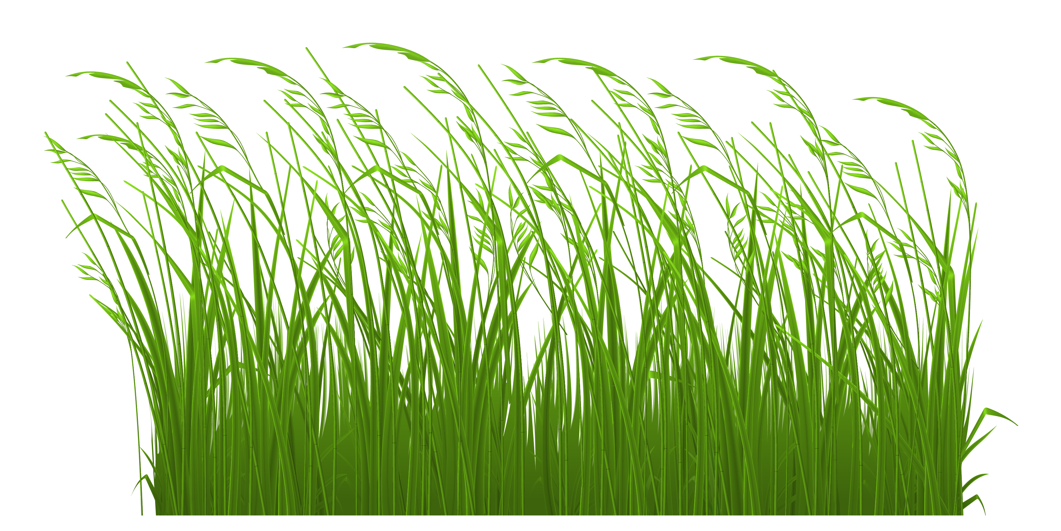 Stake In Grass Clipart 
