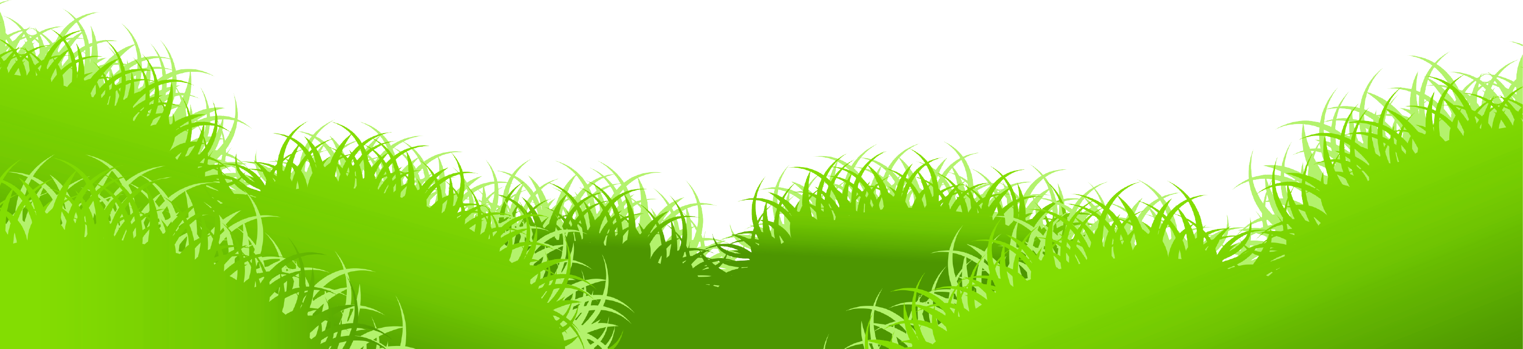 Grass Clipart PNG Picture 