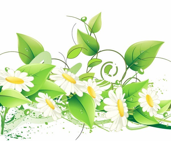 Free Green Butterfly Clipart 