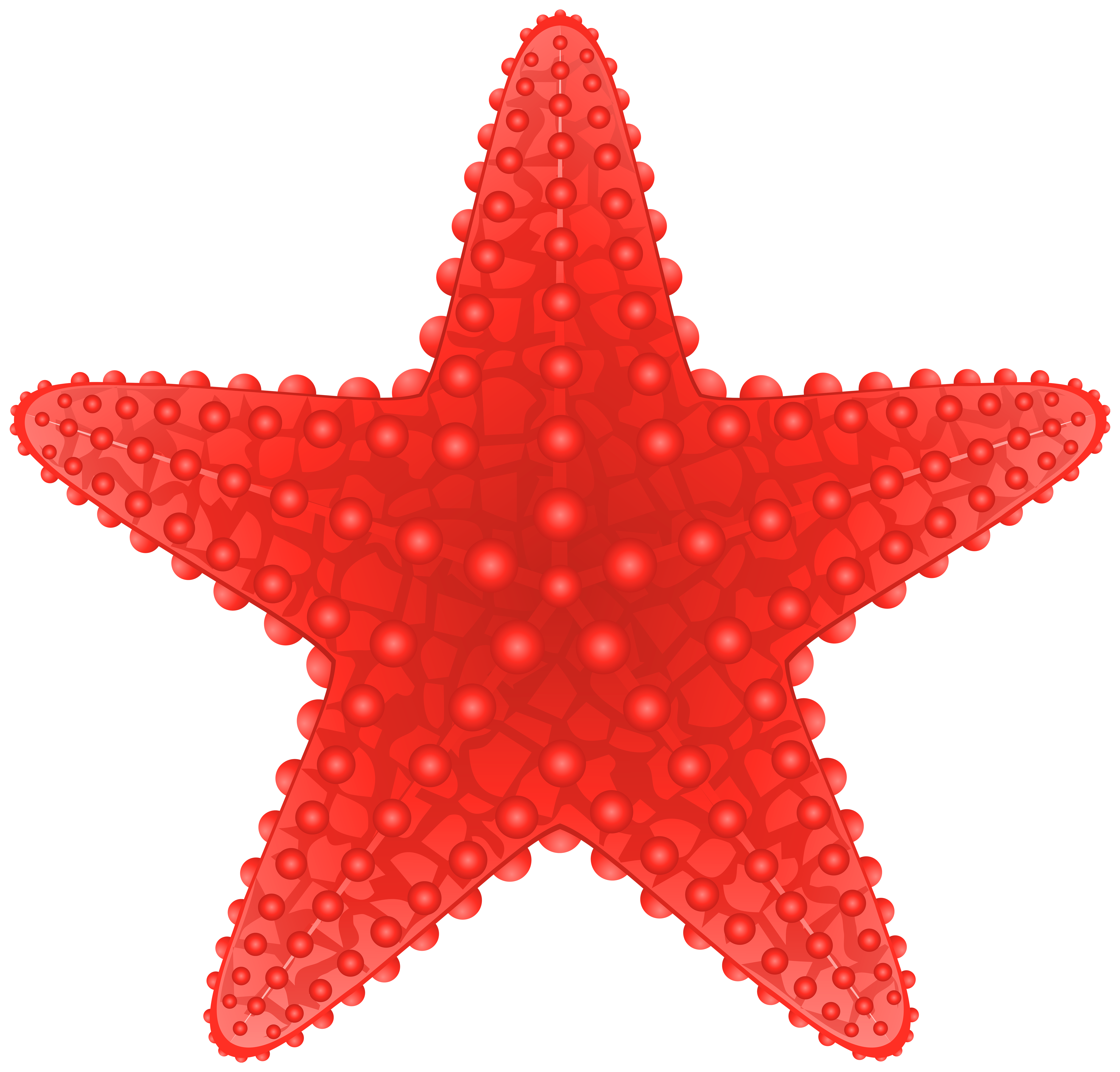 Free starfish clipart 1 page of clip art � Gclipart 