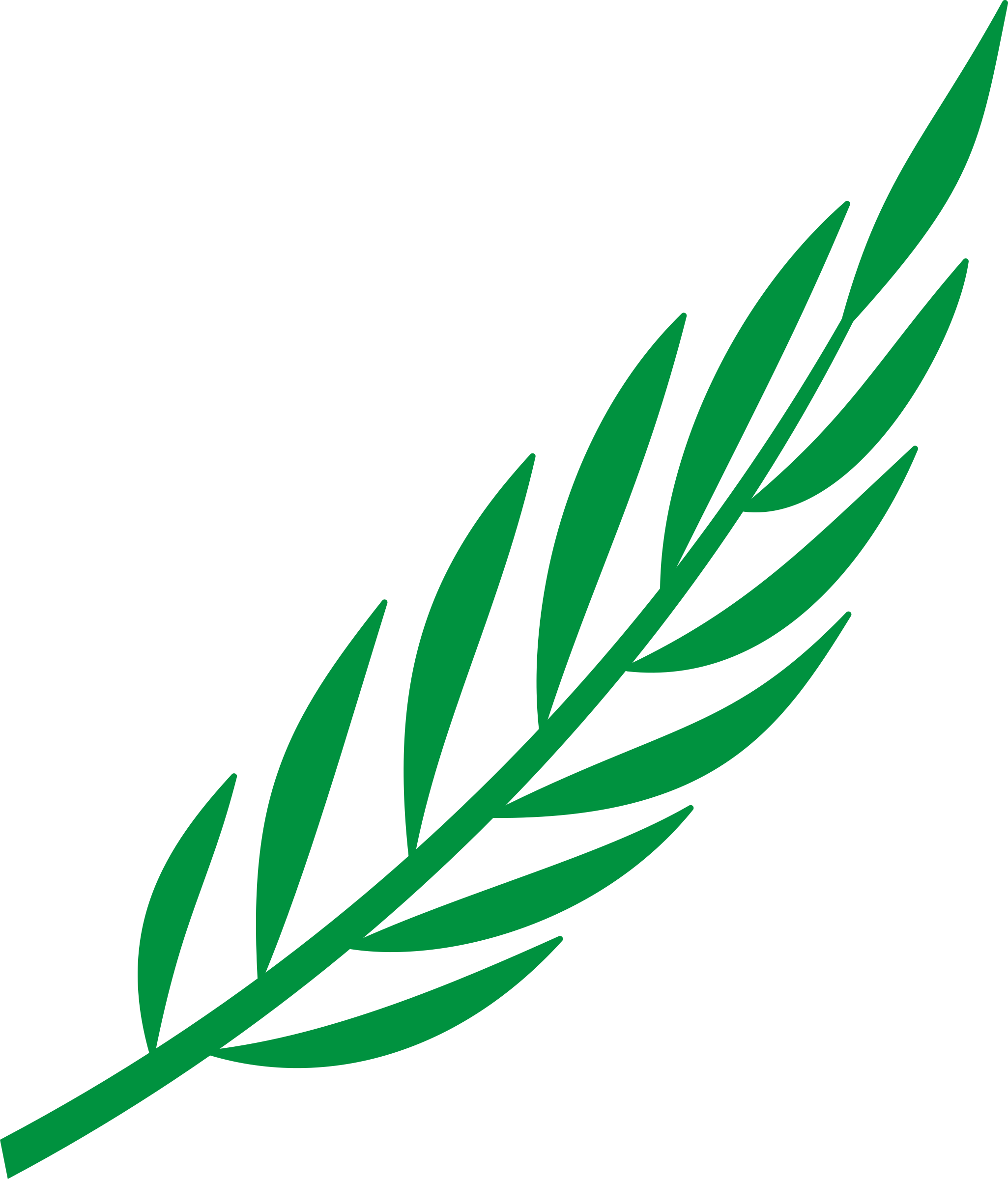 Free Leafy Branch Cliparts, Download Free Leafy Branch Cliparts png