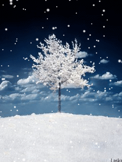 Animated falling snow clipart 