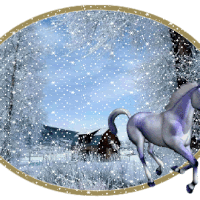 Horse In Snow Animated Gifs 