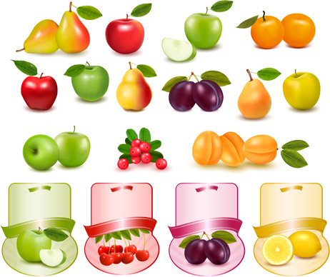 Fruit basket label design free vector download 