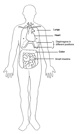 Human body with heart clipart 