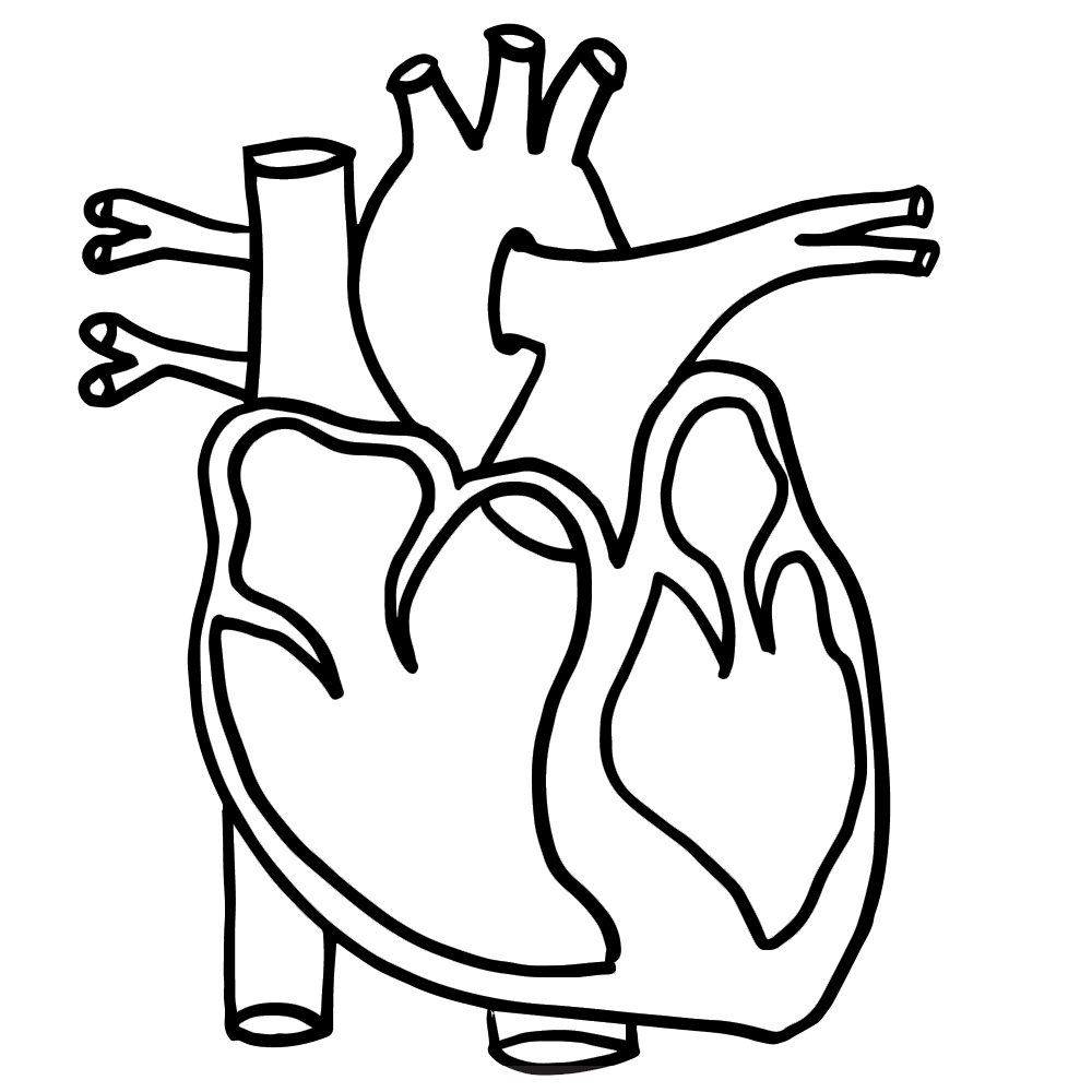 Body Parts Clipart Black And White Heart