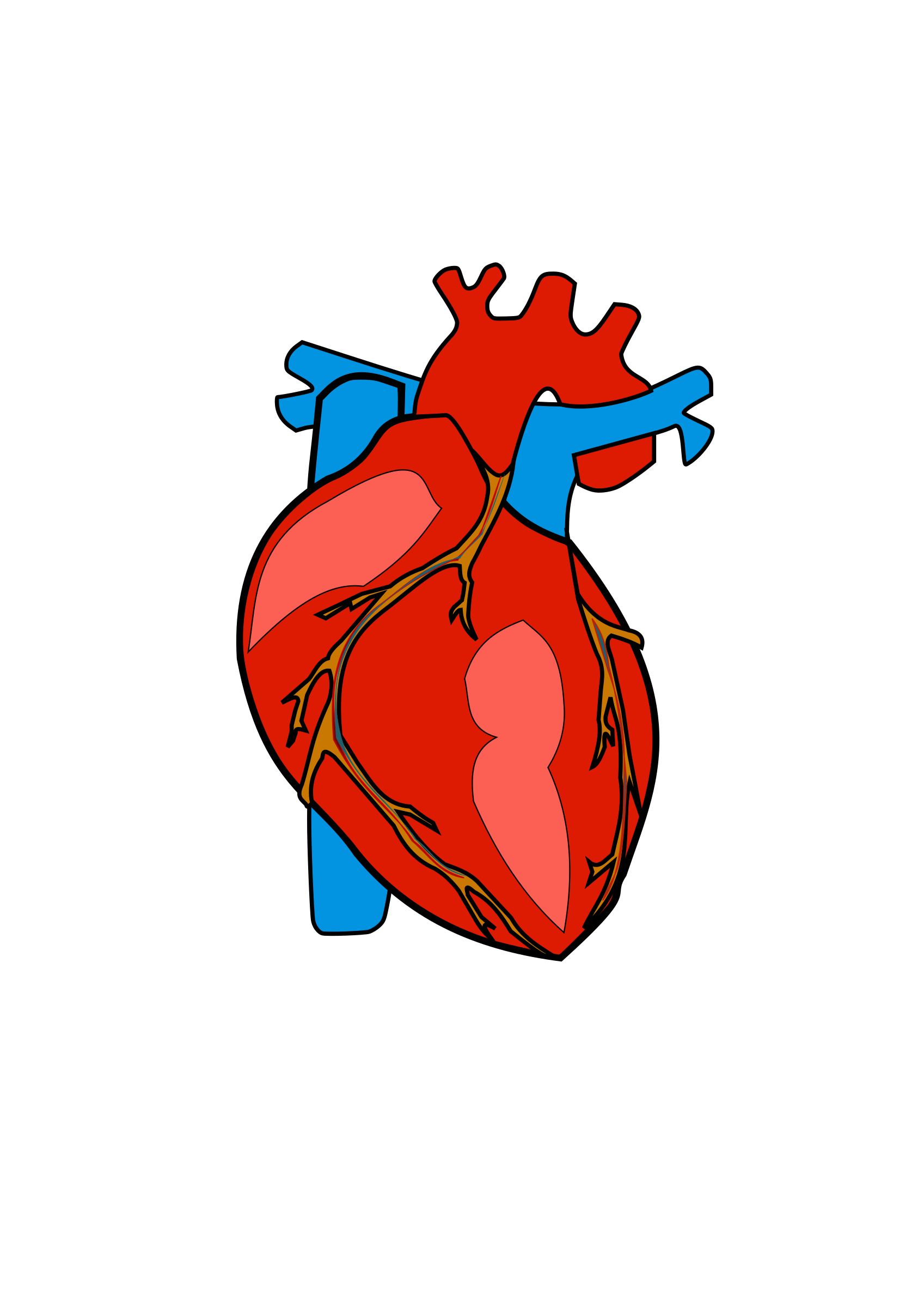Human heart clipart png 