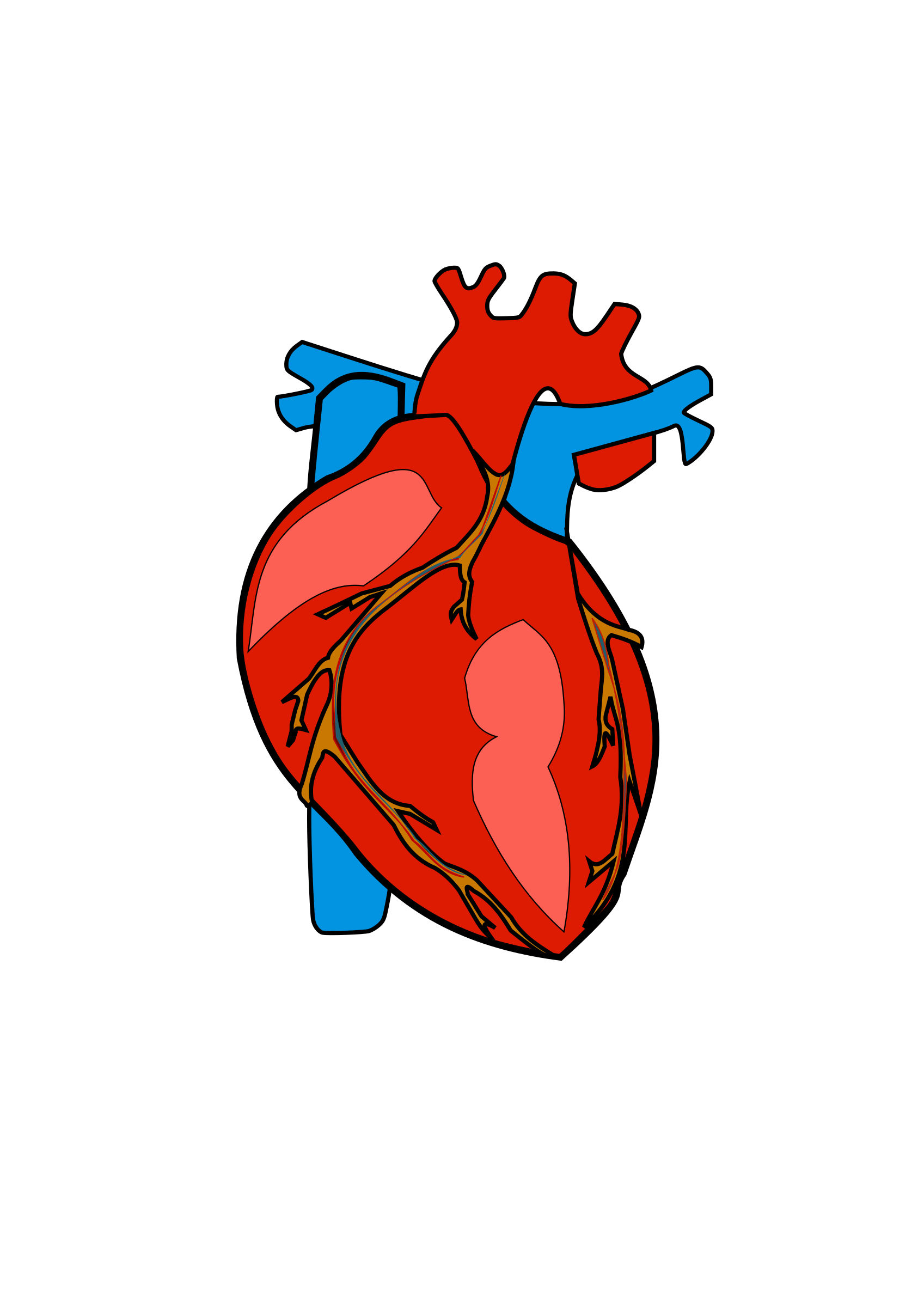 Free Anatomical Heart Png, Download Free Anatomical Heart Png png