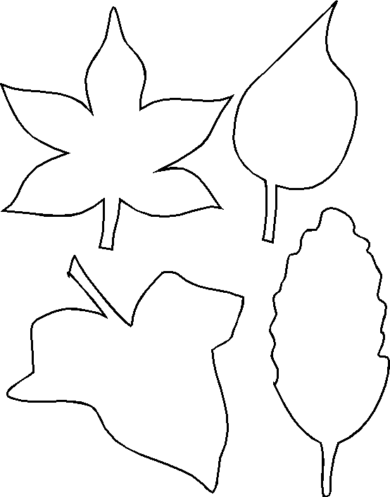 Fall Leaves Outline Clipart 
