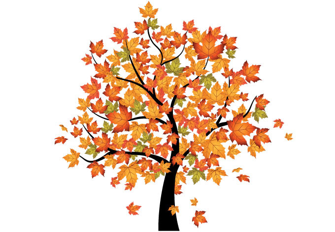 Autumn Tree Clipart 
