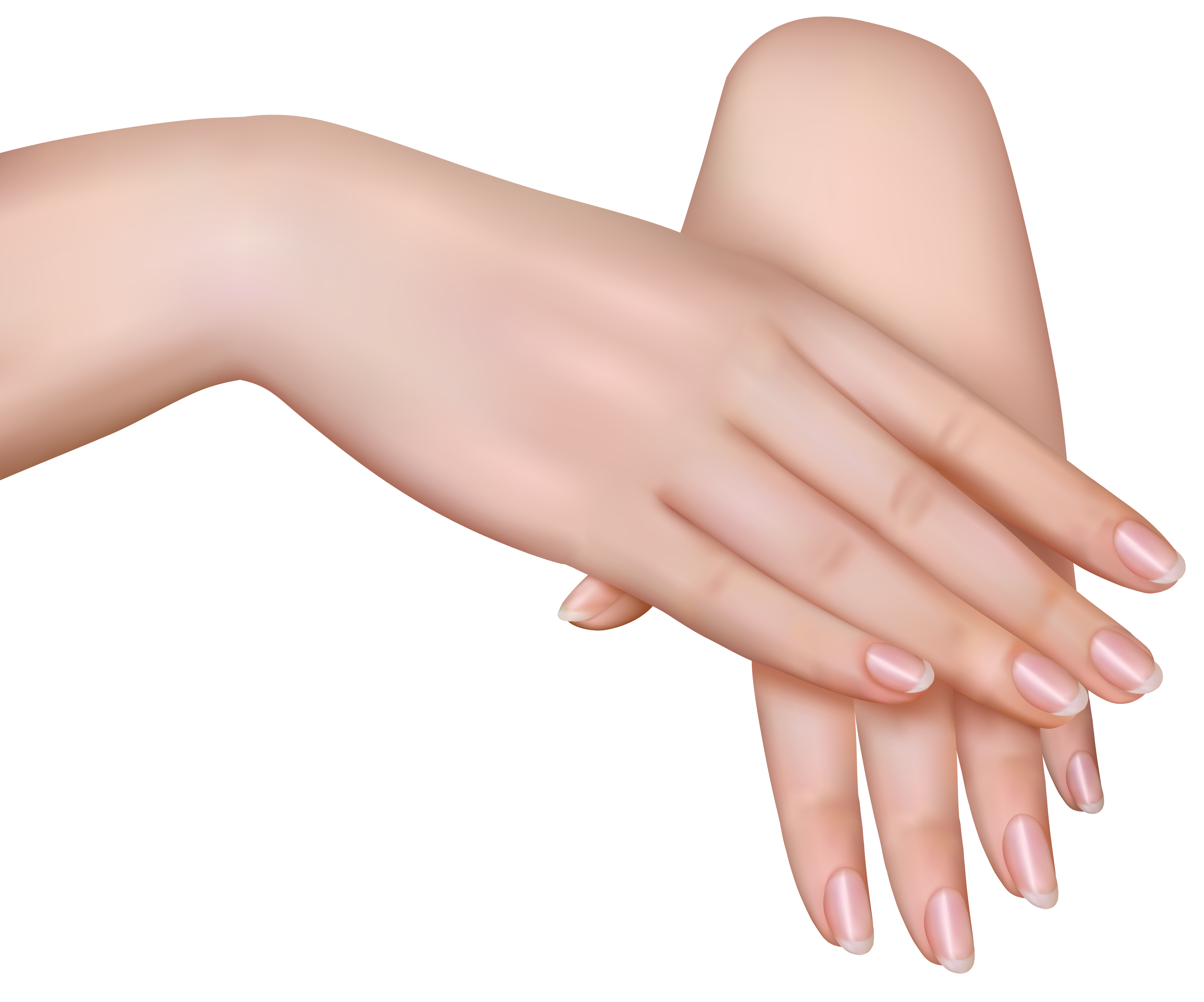 Free Womans Hands Cliparts, Download Free Womans Hands Cliparts png