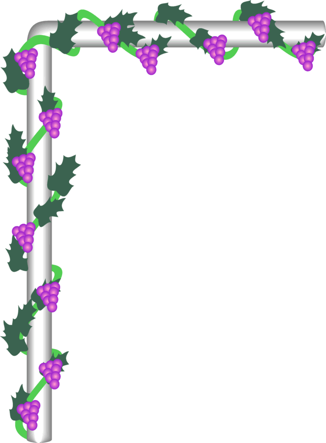 free-cliparts-border-grapes-download-free-cliparts-border-grapes-png