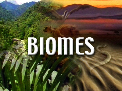 Biomes and Habitats 