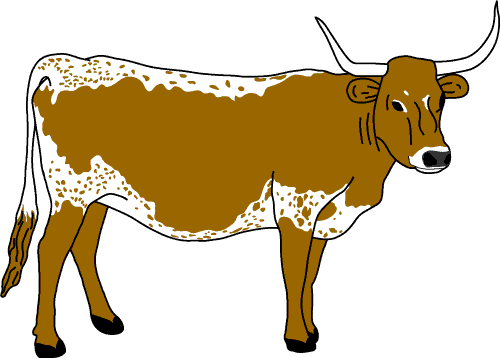 texas longhorn cattle clipart