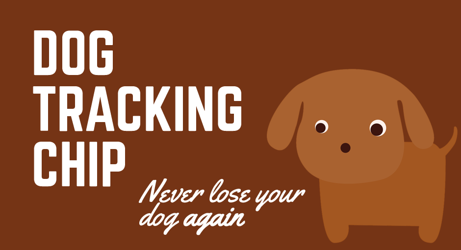 can you get tracking chips for dogs