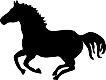 Cartoon Mustang Horse 