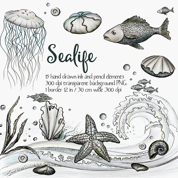 Ocean life clipart black and white 