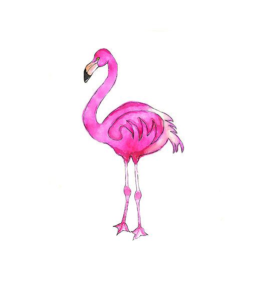 Pink Flamingo Clipart 