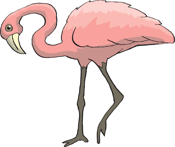 Free to Use  Public Domain Flamingo Clip Art 