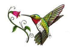 hummingbirds clipart 