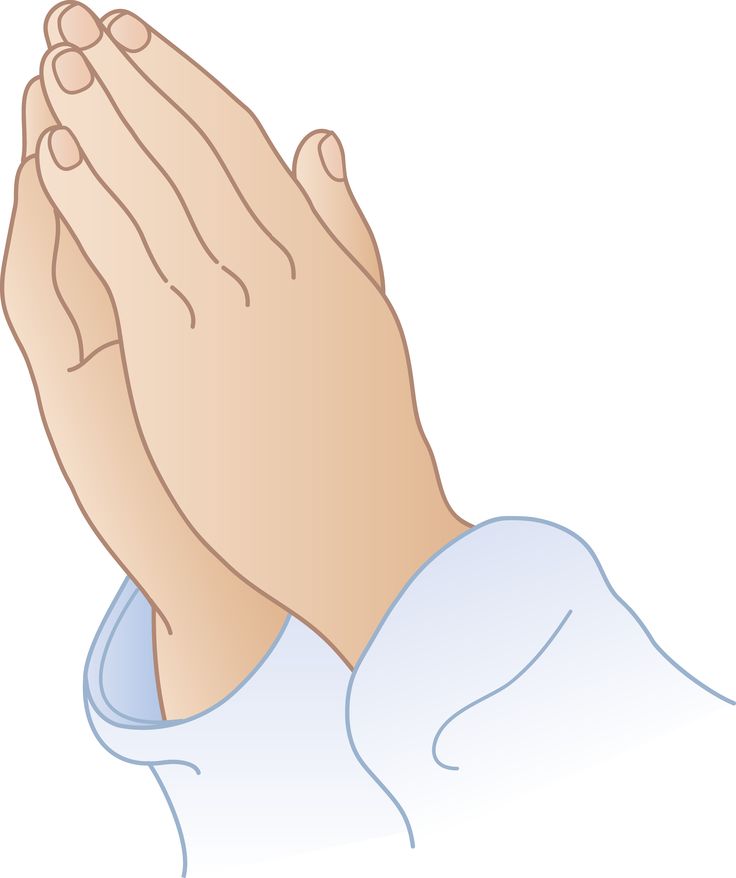 Praying hands bible clipart transparent gif 