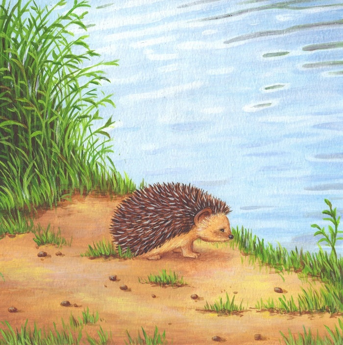 Sad Hedgehog Clip Art Library