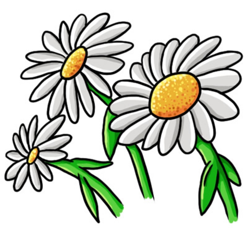daisy flower clipart - Clip Art Library