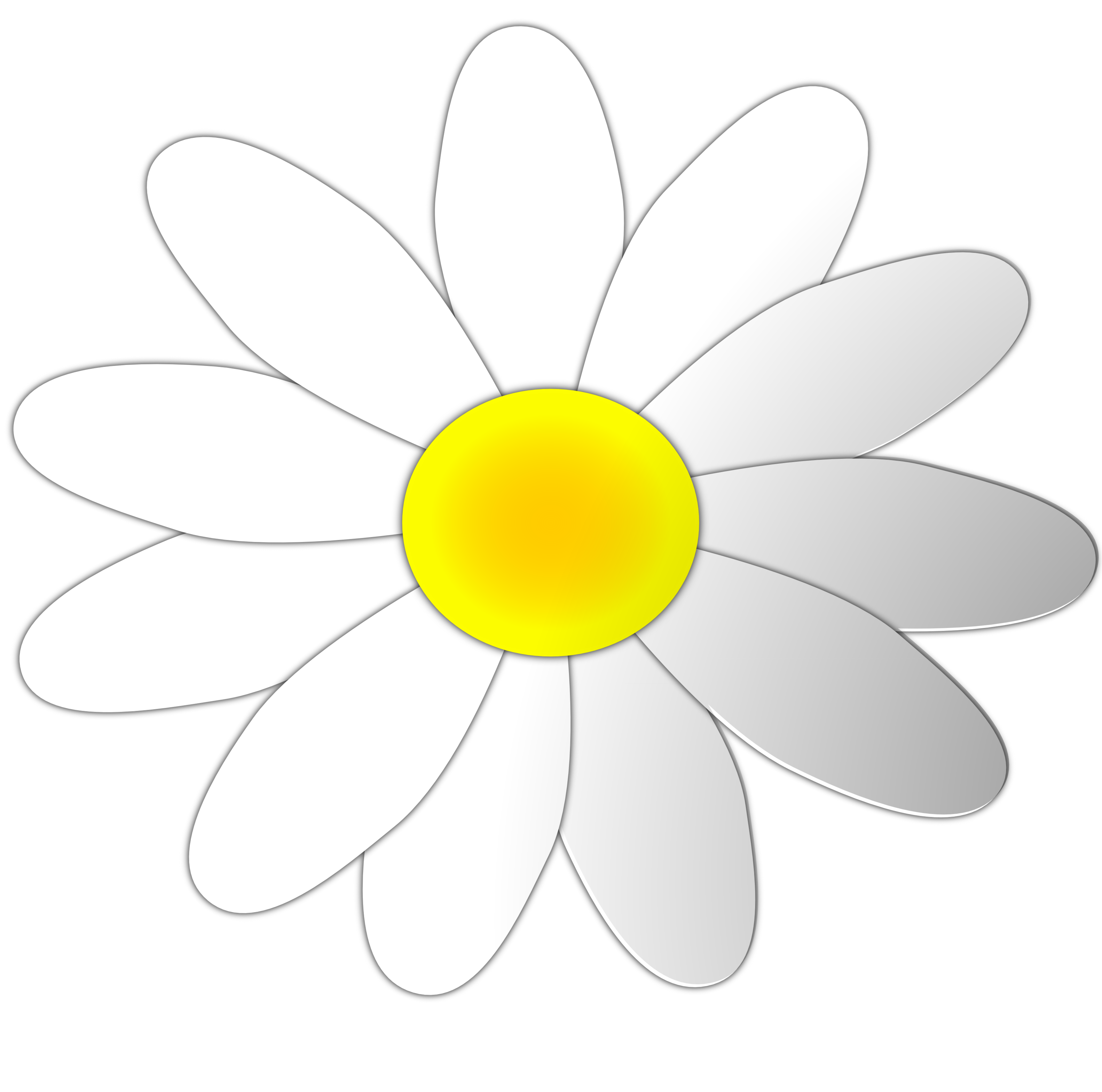 Daisy Flower Clip Art � Clipart Free Download 