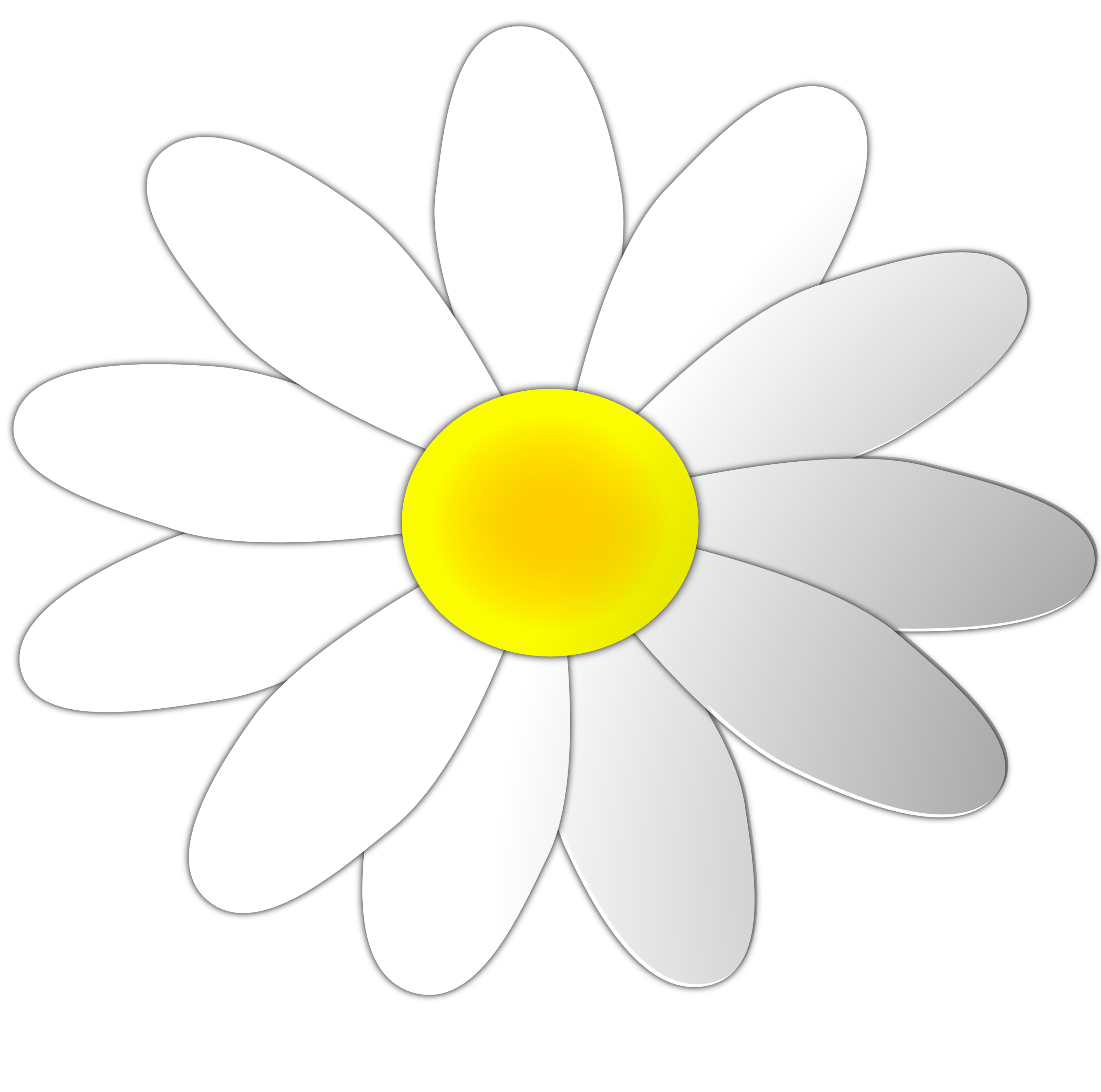 daisy - Clip Art Library