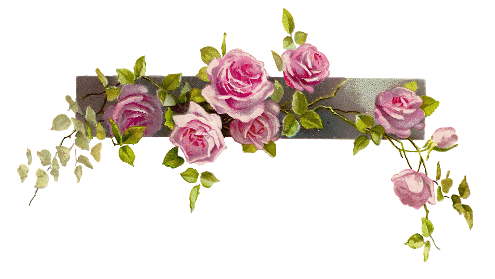 Free Pink Flower Border Png Download Free Pink Flower Border Png Png Images Free ClipArts On 