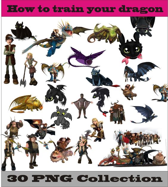 How to train your dragon Collection PNG Vector Instant Download 