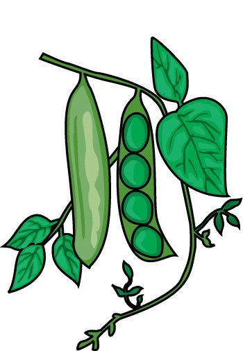 twin peas in a pod clipart school