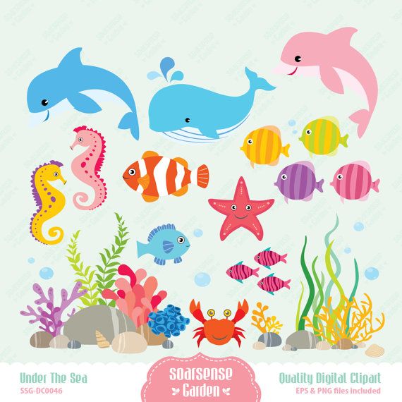 Sea world animals and corals clipart hd 