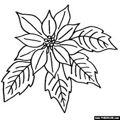 Poinsettia black and white clipart 